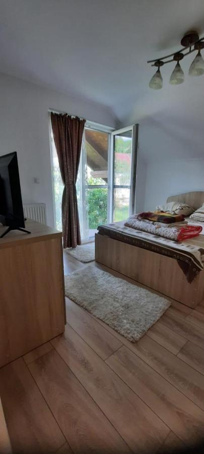 Vila Floarea De Colt Appartamento Borşa Esterno foto