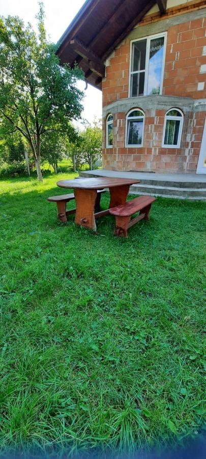 Vila Floarea De Colt Appartamento Borşa Esterno foto