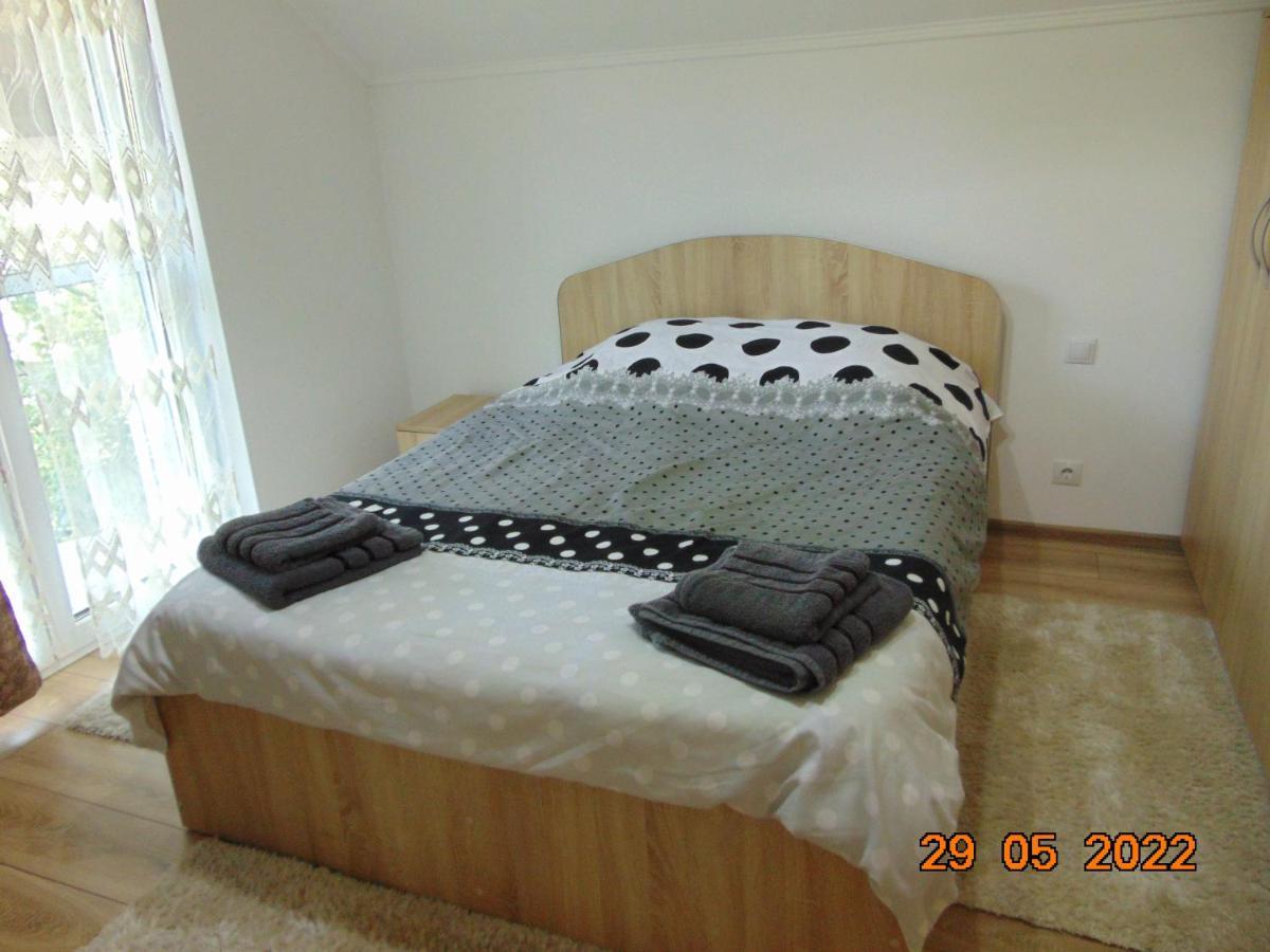 Vila Floarea De Colt Appartamento Borşa Esterno foto